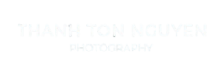 Vlogger